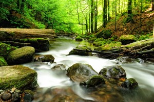 A river of faith begins