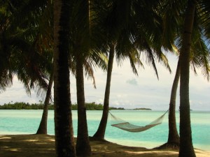 A hammock between palm trees