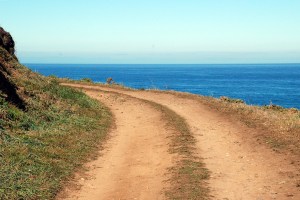 a path to the ocean