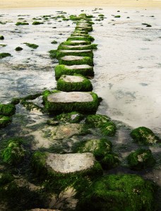 stepping stones on the beach