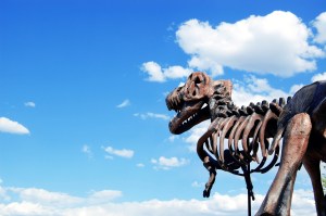 t-rex dinosaur fossil