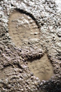 mud shoe boot print